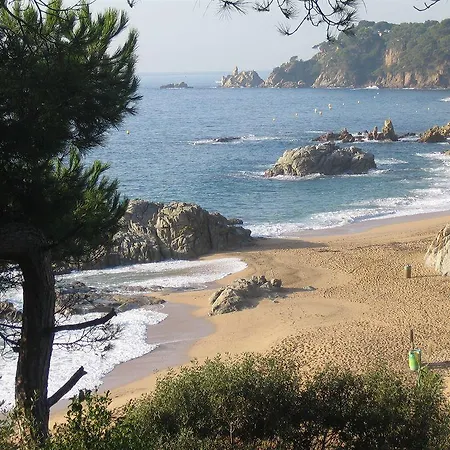 Playas Lloret -famous Family Fenals *